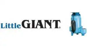 Little Giant